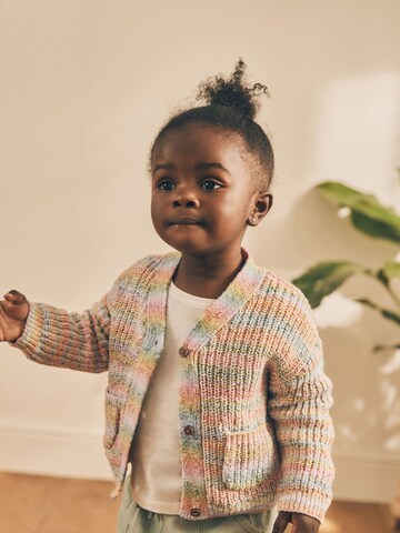 Next Strickjacke in Mischfarben