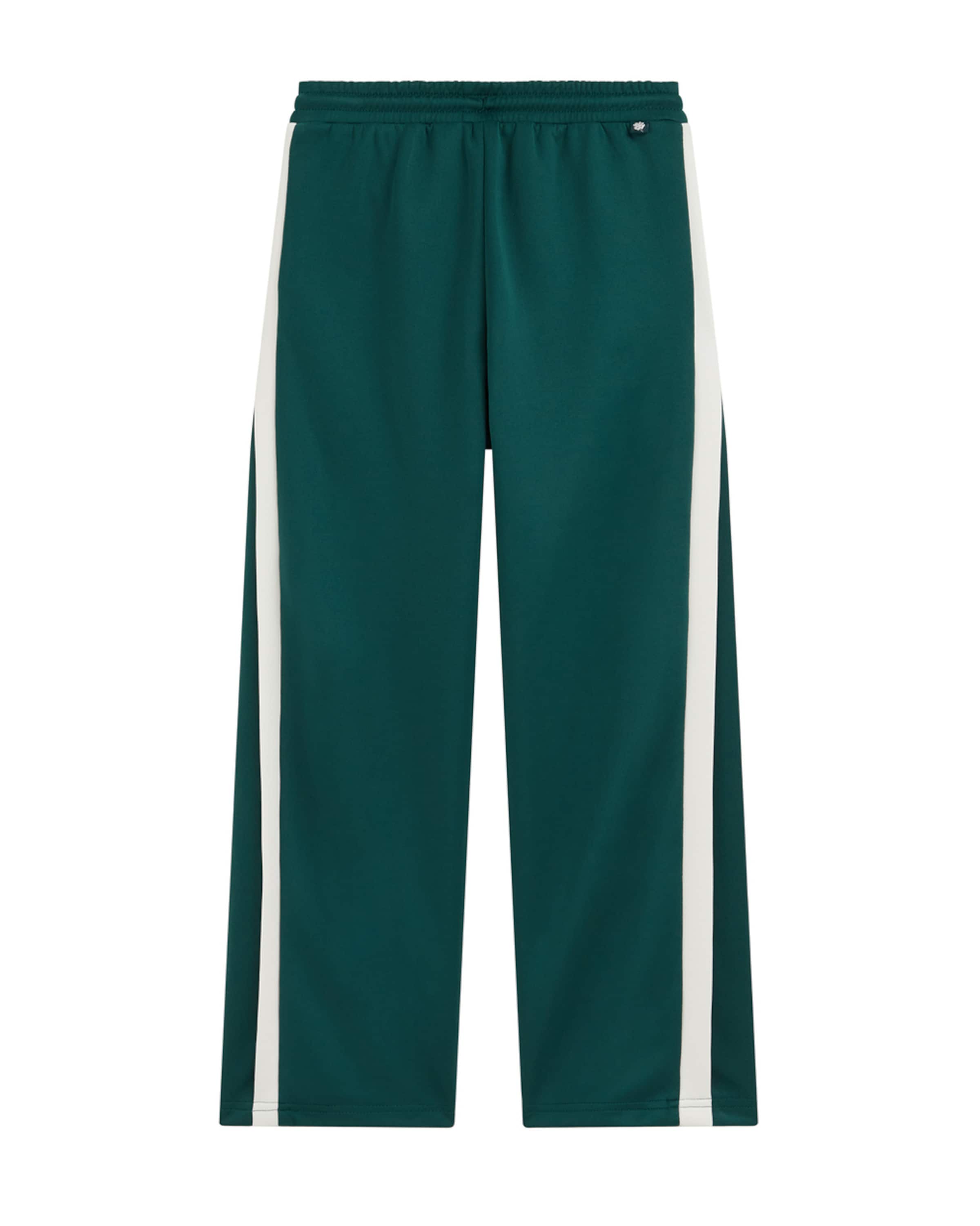 Wide leg Pantaloni de la WE Fashion pe verde