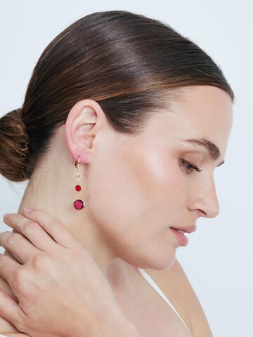Luxenter Earrings 'Huis' in Mixed colors