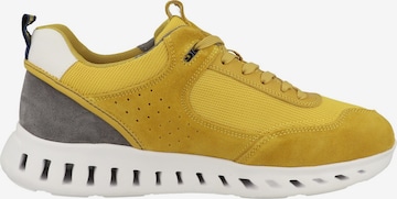 GEOX Sneakers 'Outstream' in Yellow