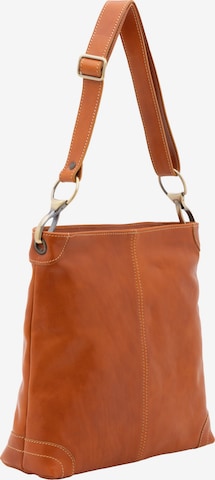 Viola Castellani Crossbody Bag in Brown: front