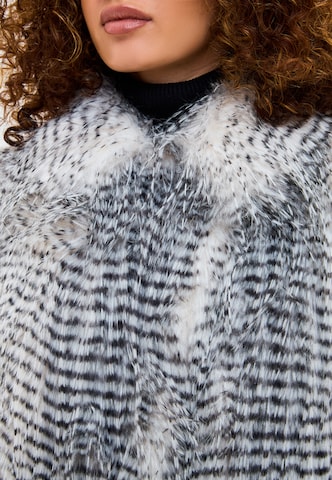 CESARE GASPARI Winter coat in Grey