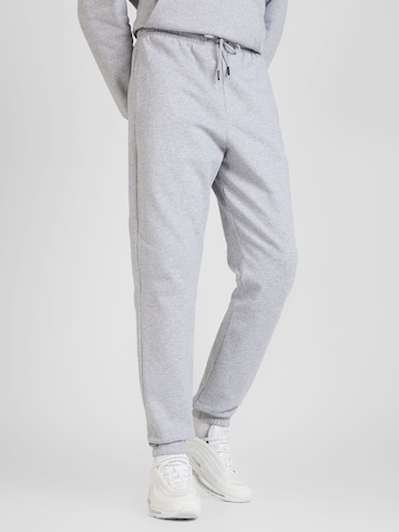 Effilé Pantalon 'ESSENTIAL' THE NORTH FACE en gris : devant