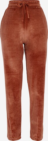 FRESHLIONS Pants in Brown: front
