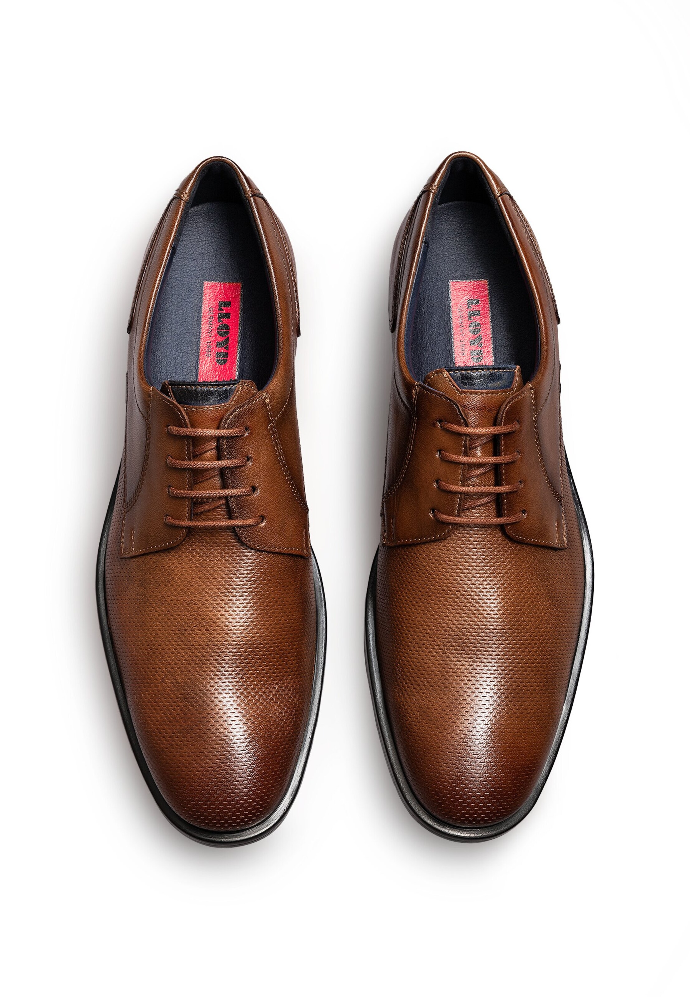 LLOYD Veterschoen 'Lance' in Bruin