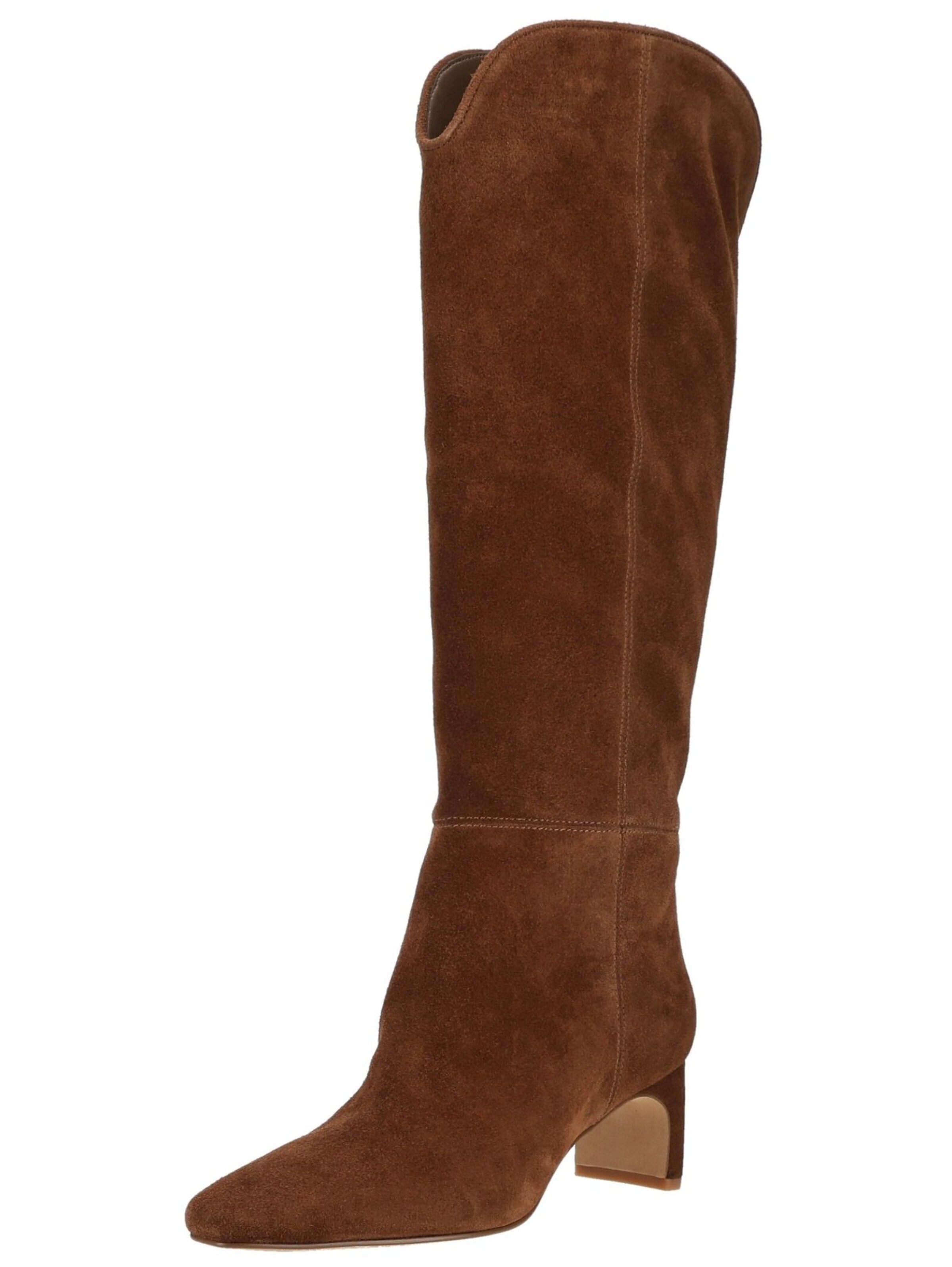 Dolce Vita Boots in Brown: front