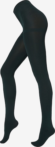 CALZEDONIA Tights 'thermo' in Green: front