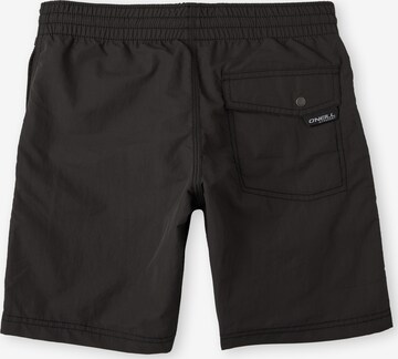 Shorts de bain 'Vert' O'NEILL en noir