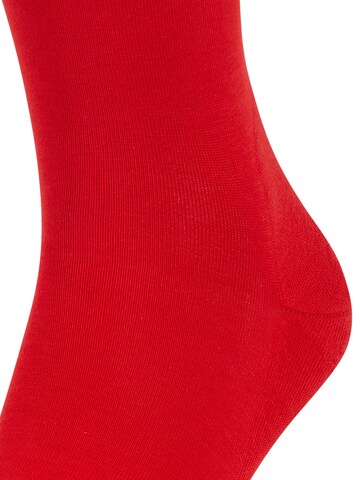 FALKE Socks 'Run' in Red