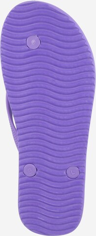 FLIP*FLOP T-Bar Sandals in Purple