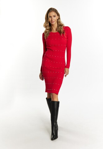 Abito in maglia di faina in rosso: frontale