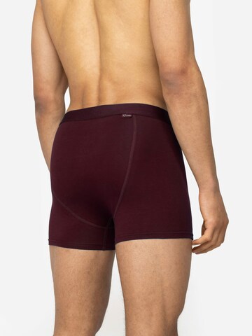 A-dam Boxershorts in Rot