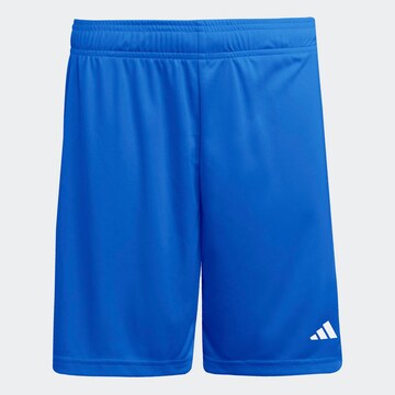 ADIDAS PERFORMANCE Regular Pants 'ENT26' in Blue