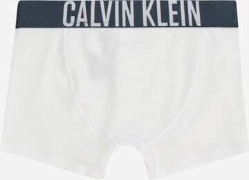 Calvin Klein Underwear Nohavičky - Modrá