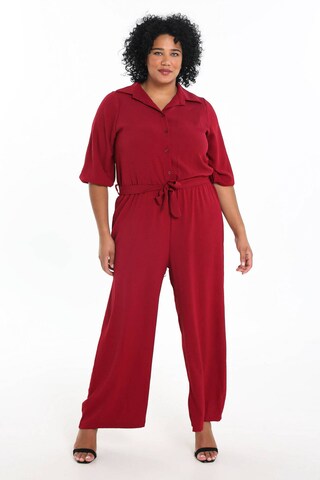 Paprika Jumpsuit in Red: front