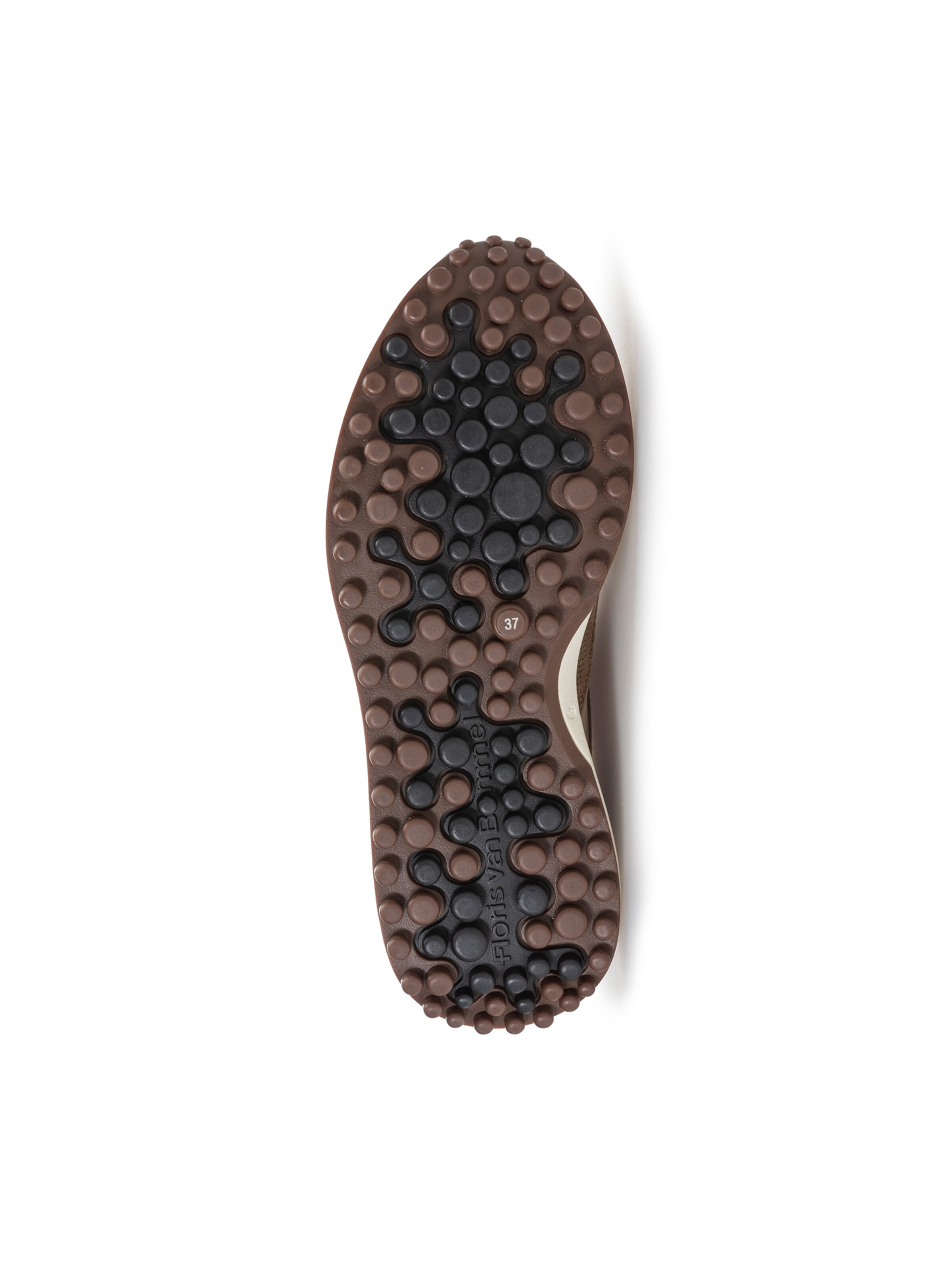 Sneaker bassa 'Noppi 36' di Floris van Bommel in grigio