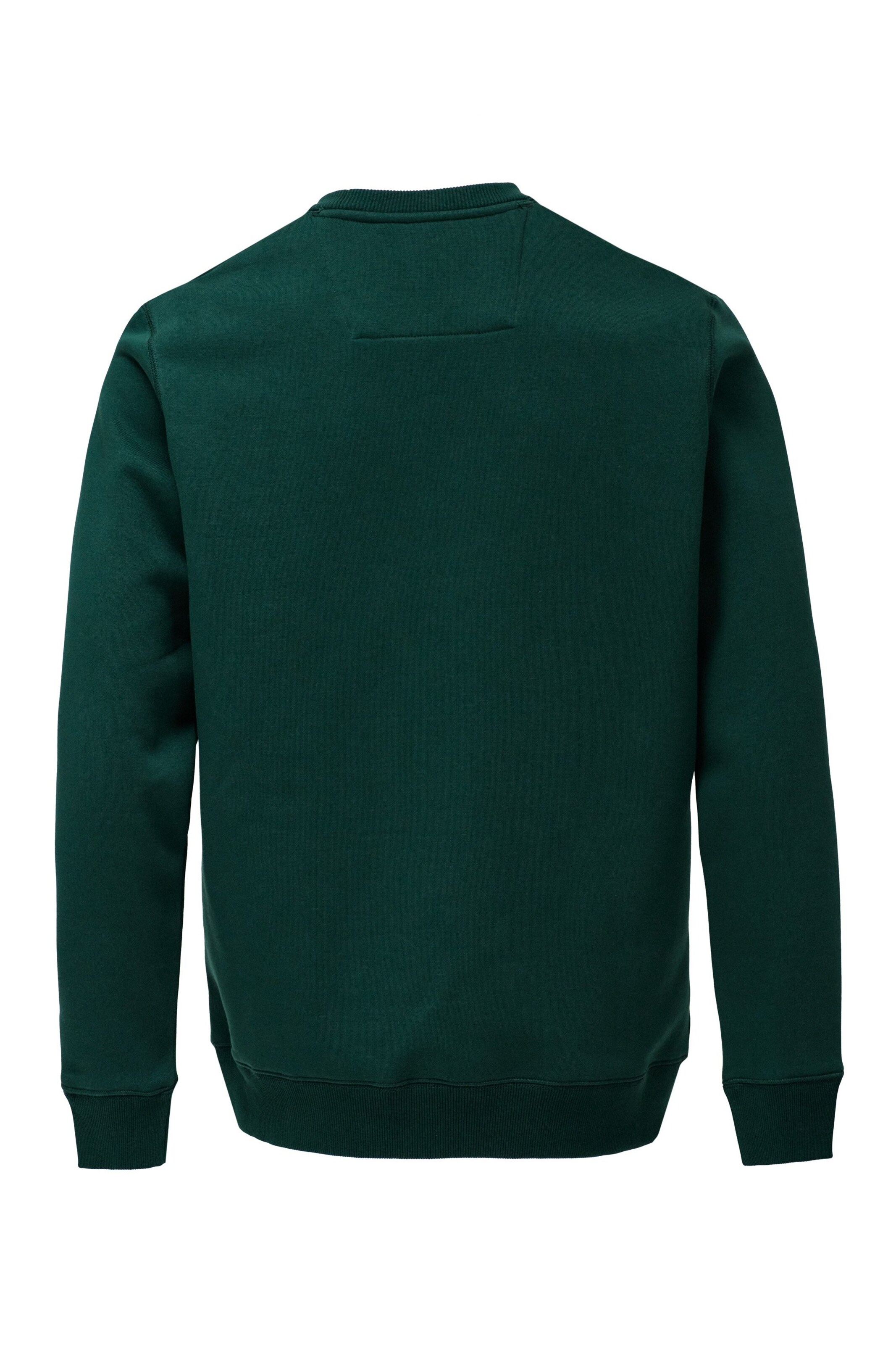 Salsa Jeans Sweatshirt in Groen