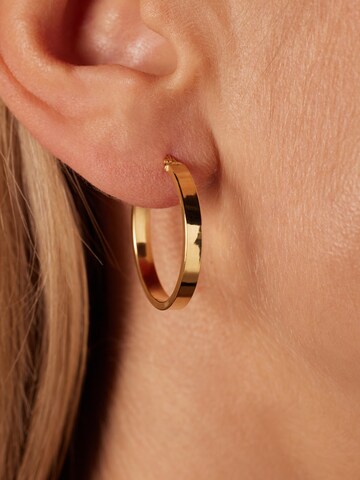 Boucles d'oreilles Lucardi en or