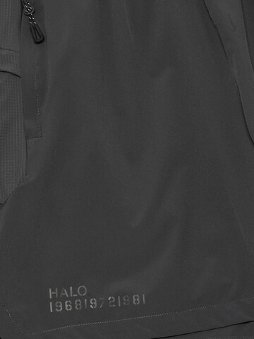 HALO Regular Sportshorts 'SCOUT' in Grau