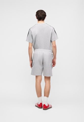 ADIDAS ORIGINALS Loose fit Trousers 'Spacer Teamgeist 26' in Grey