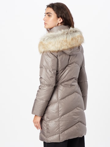 Calvin Klein Winter coat in Brown