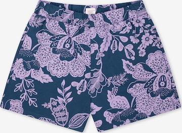 SCHIESSER Pajama pants ' Mix Relax ' in Blue: front