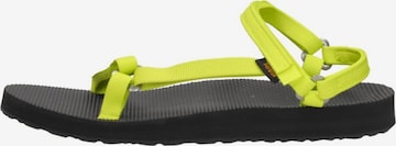 TEVA Sandals 'Original Universal Slim' in Yellow: front