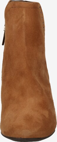 IGI&CO Ankle Boots in Brown