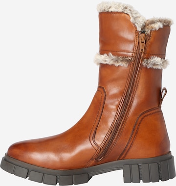 Bottines TT. BAGATT en marron