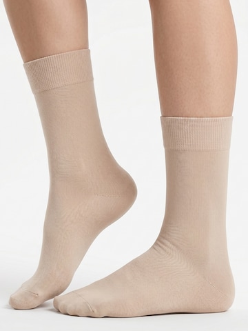 footstar Socks 'EVERYDAY!' in Beige