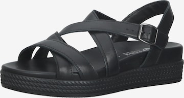 Bama Strap Sandals in Black: front
