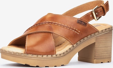 PIKOLINOS Sandals 'Canarias' in Brown: front