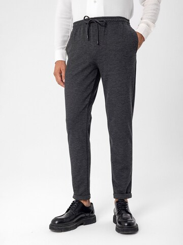 Regular Pantalon Antioch en gris