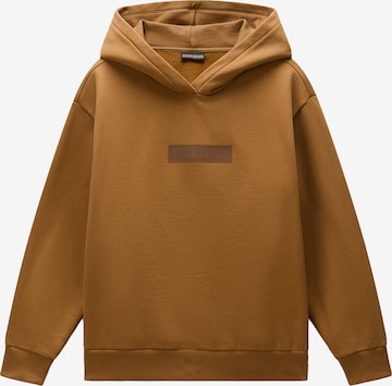 NAPAPIJRI Sweatshirt in Brown: front