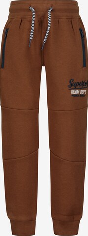 SALT AND PEPPER Pants in Brown: front