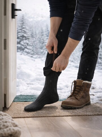 NERS Socks 'Wool Nordic' in Grey