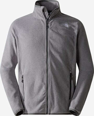 THE NORTH FACE Funktionele fleece-jas '100 Glacier' in Grijs: voorkant