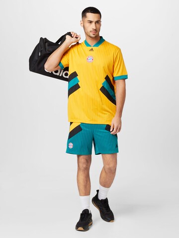 ADIDAS SPORTSWEAR Regular Sports trousers 'Fc Bayern' in Green