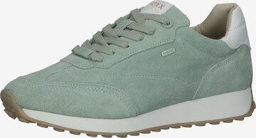 MEXX Sneakers laag in Groen: voorkant