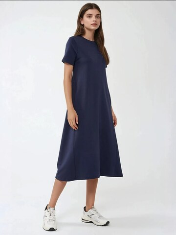 Hiccup Jurk in Blauw