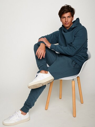 GREENBOMB Sweatshirt in Grijs