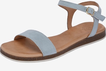 Apple of Eden Sandalen met riem 'ISA' in Grijs: voorkant