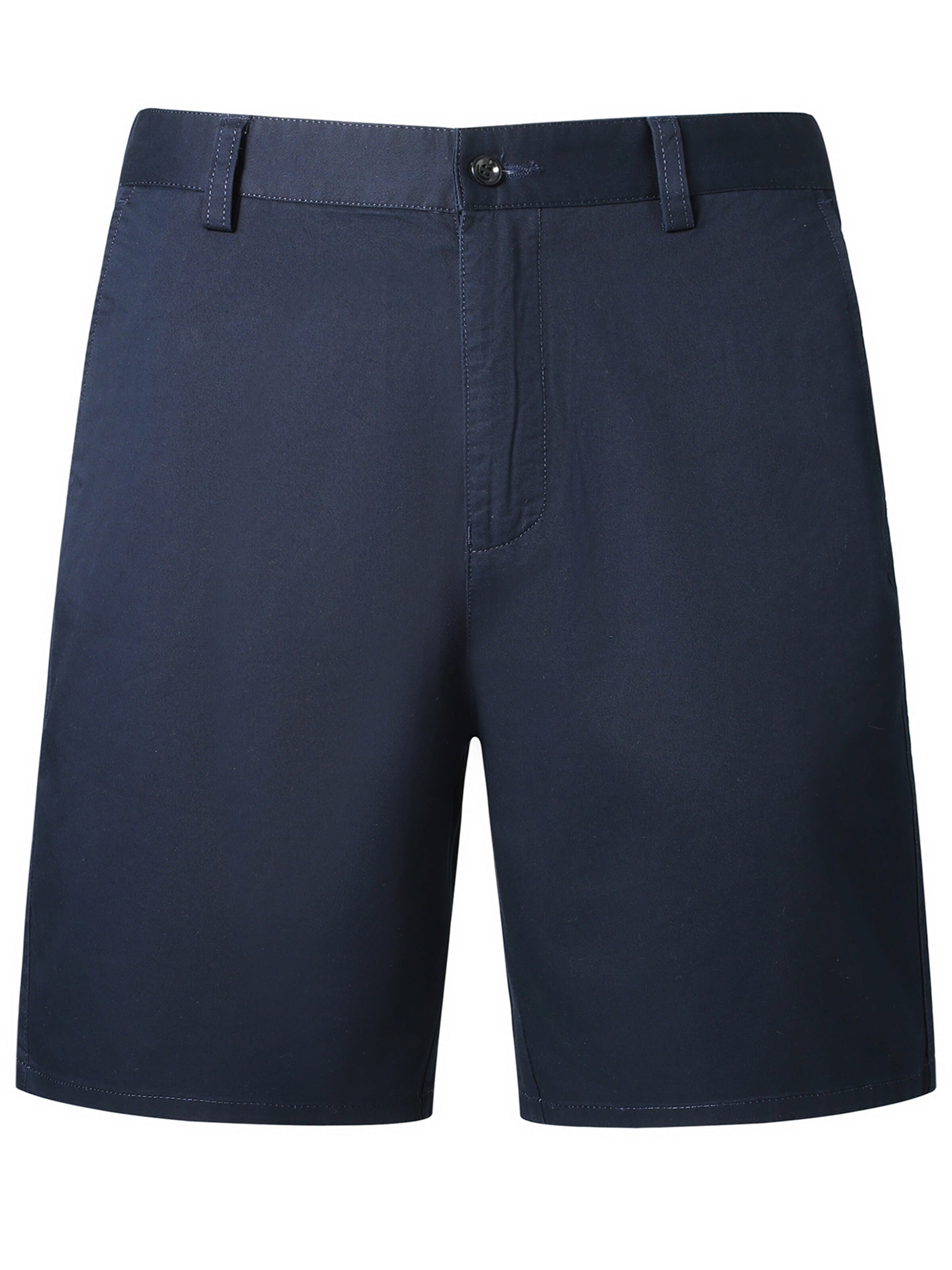 ALLTHEMEN Regular Traditional Pants 'Wesen' in Blue: front