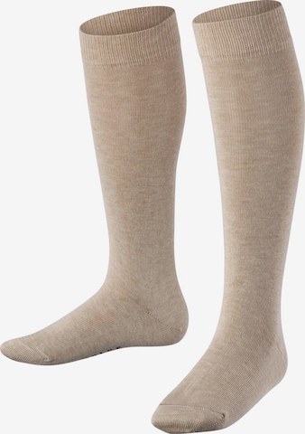 FALKE Socks 'Family' in Beige: front