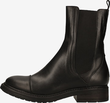 SHABBIES AMSTERDAM Chelsea Boots in Black: front