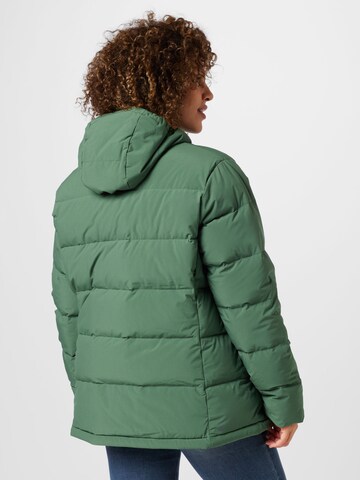 Veste outdoor 'Helionic Down ' ADIDAS SPORTSWEAR en vert