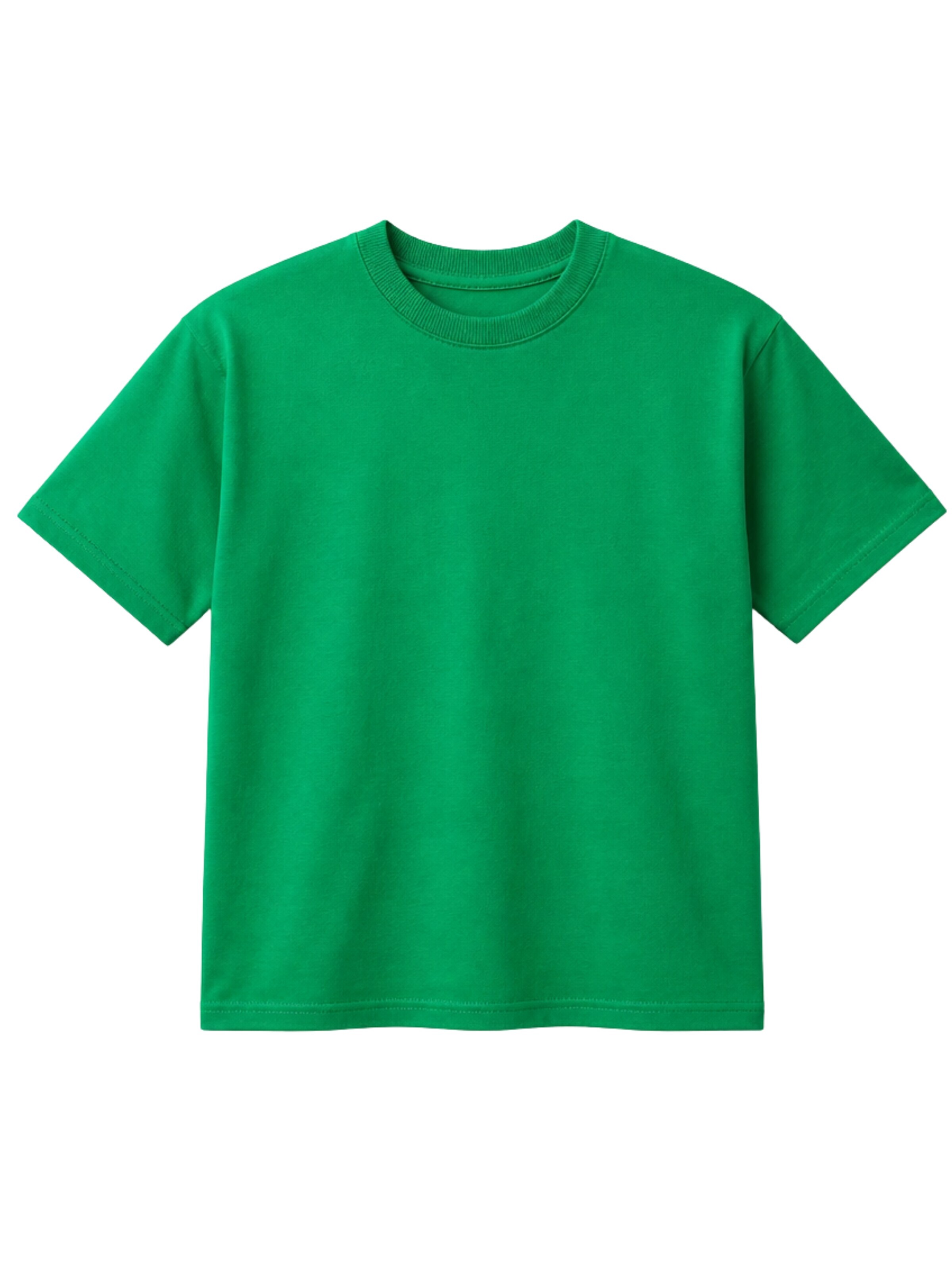 LOUIS LECLER Shirt 'Amelia' in Grün: Vorderseite