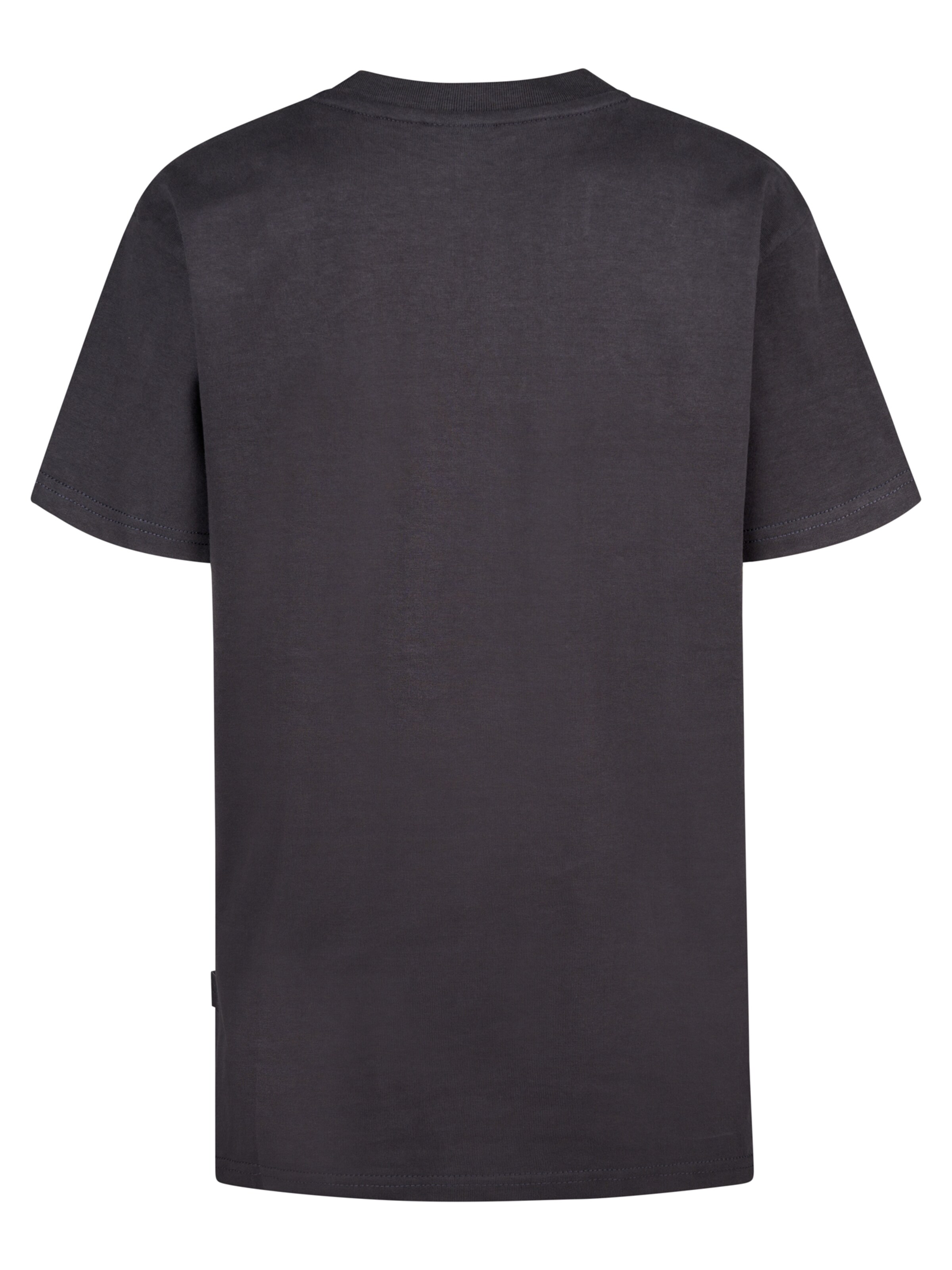 Petrol Industries Shirt 'Clam' in Grijs