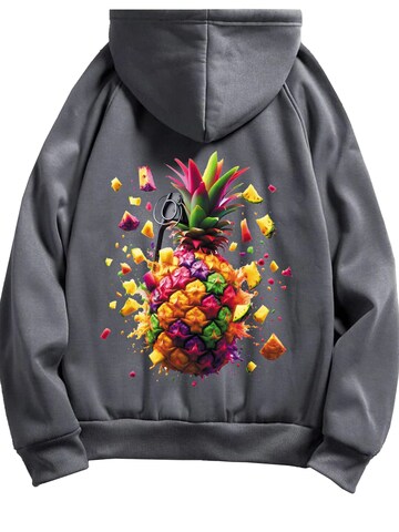 RMK Sweatshirt 'Ananas'‌‌‌‌‌‌‌ in Grau