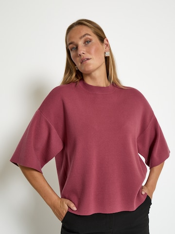 minus Sweatshirt 'Lupi' i rød